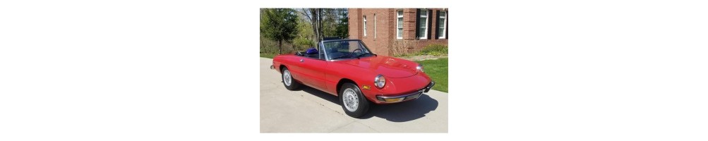 Alfa Spider