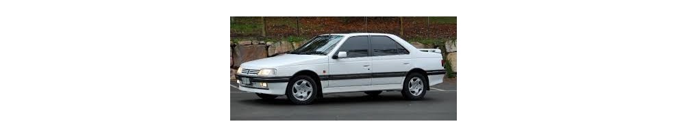 Peugeot 405