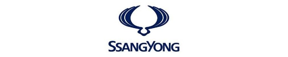 Ssang Yong